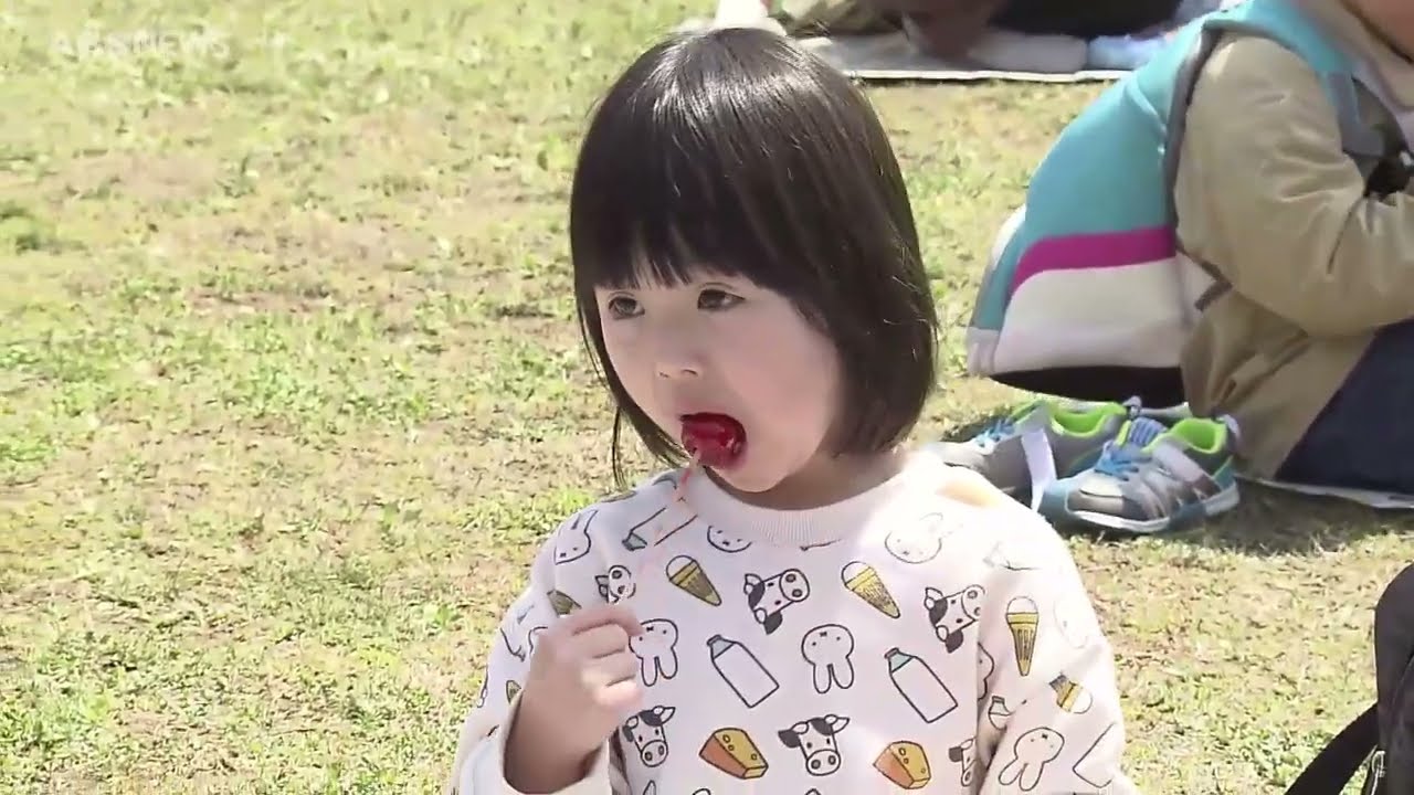 桜満開！秋田市千秋公園の賑わいは