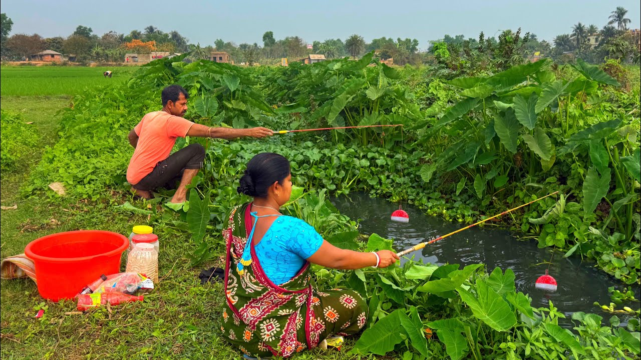 Fishing Video || Two expert fisherman fishing happily in the paddy field canal || Best hook trap