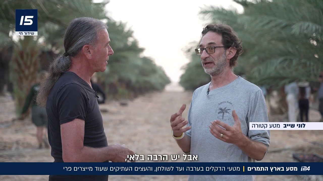 צל עץ תמר: בשיא עונת הגדיד - פגשנו את החקלאים שלא מוותרים גם בשיא החום