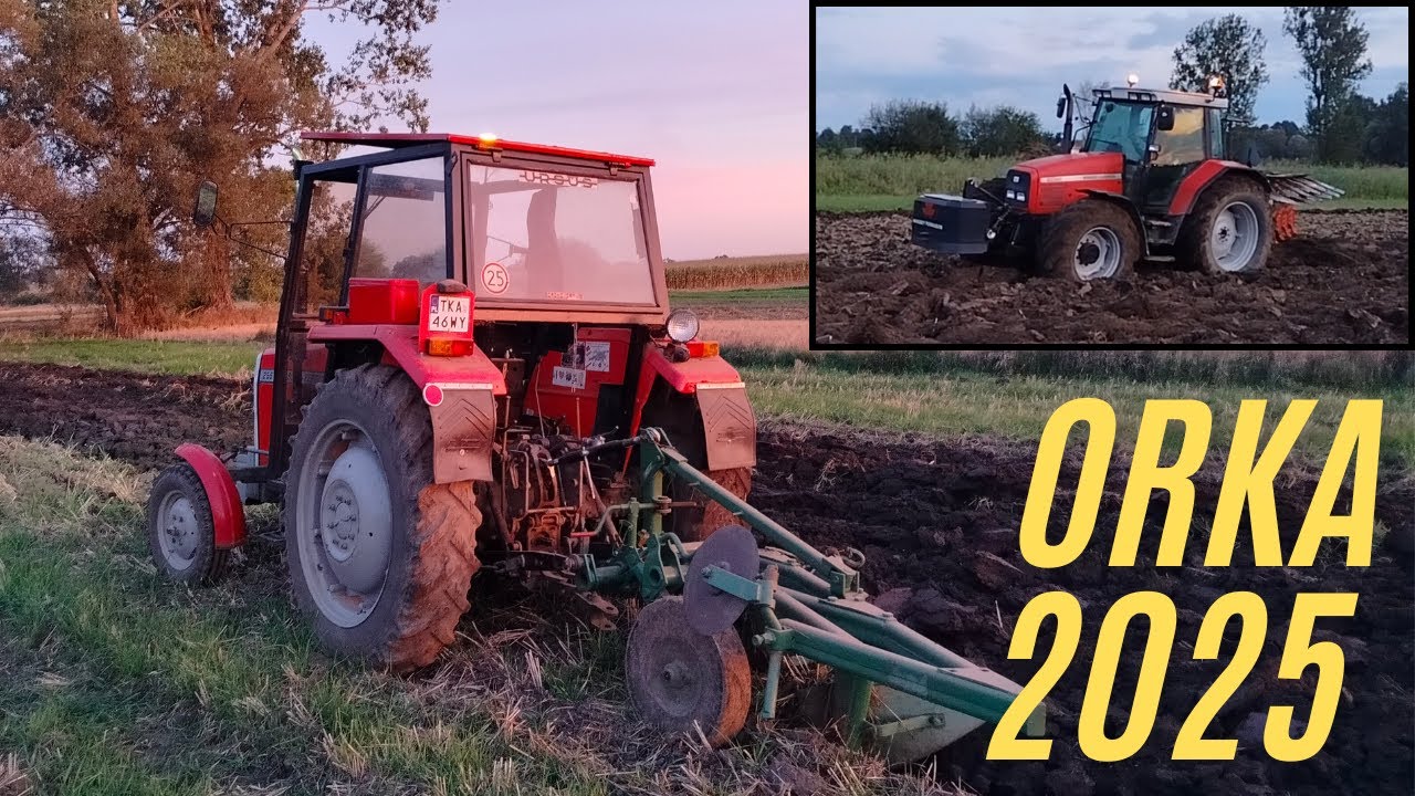 Jesienne orki 2025 | Likwidacja łąki | MF 255 & MF 6290