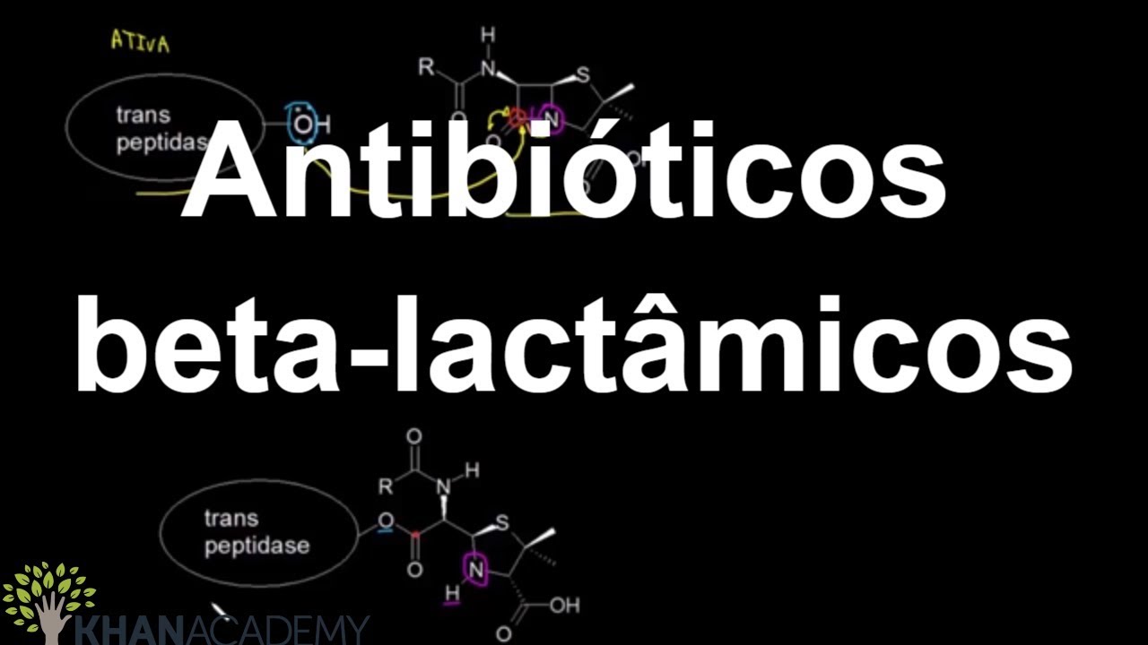 Antibióticos beta-lactâmicos | Ácidos carboxílicos e derivados | Química orgânica | Khan Academy