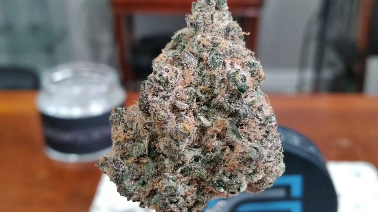 Grow Sciences - Tropical Cherry 