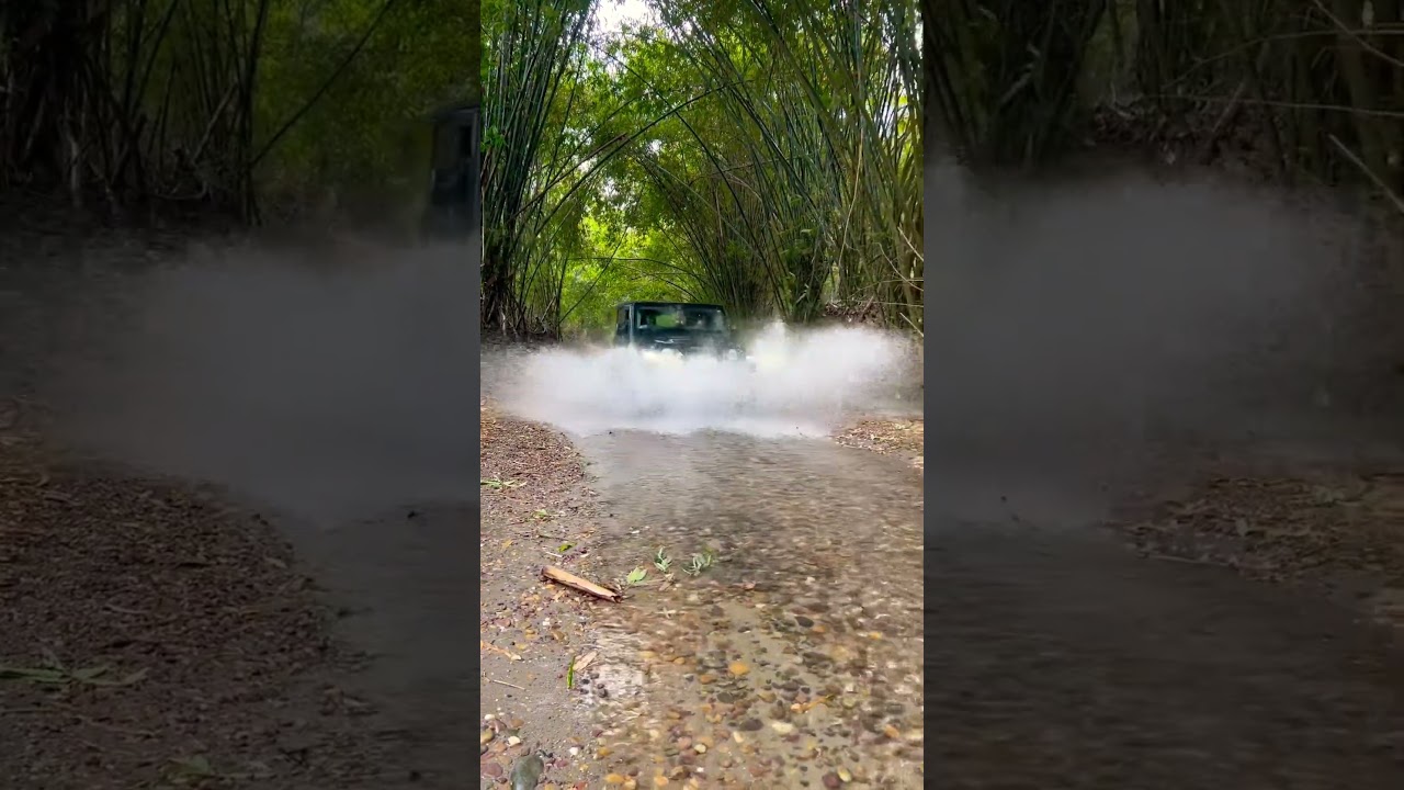 KUKANET FOREST 🌳 #youtubeshorts #natural #thar #thar4x4 #offroad #youtuber