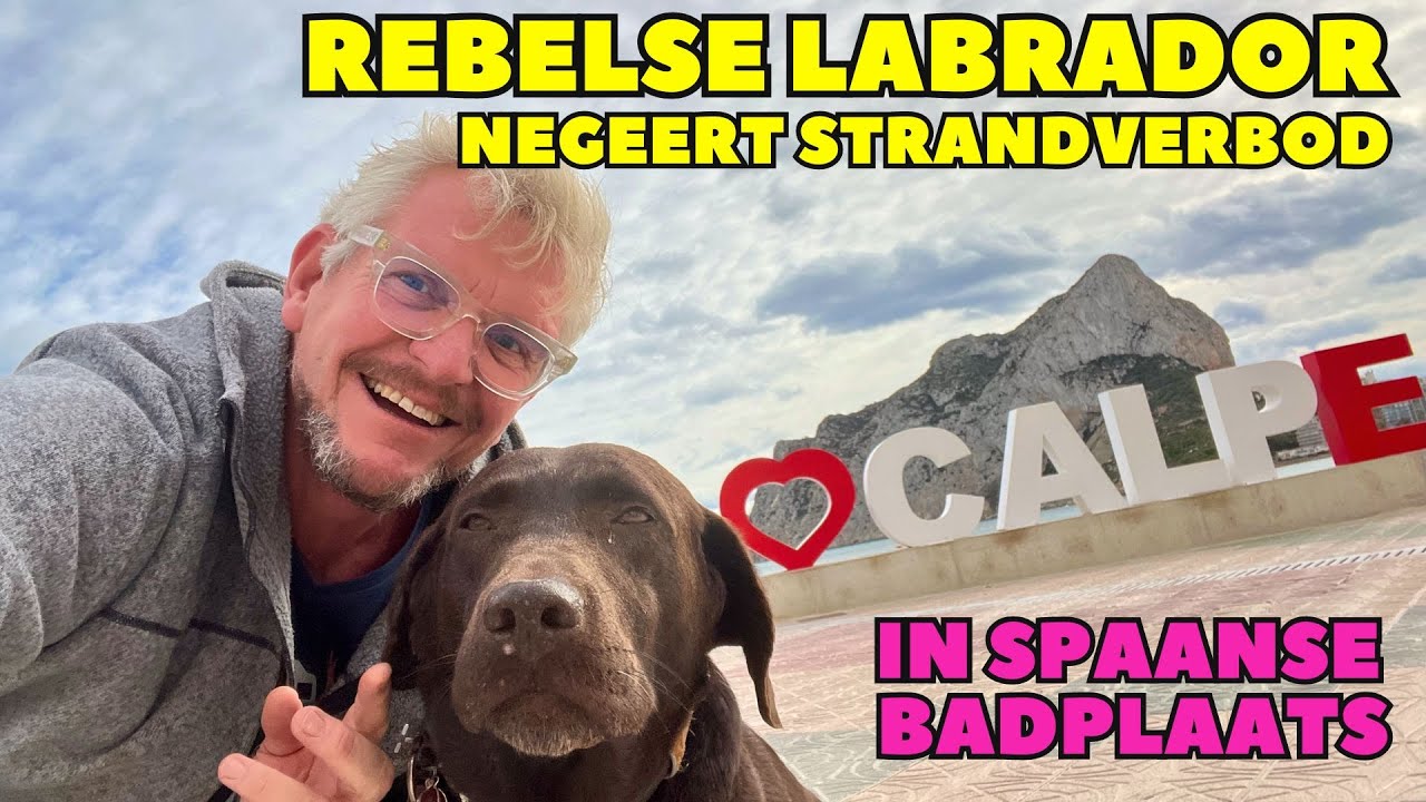 KUIEREN IN CALPE - OVERWINTEREN SPANJE - Solo camper - DWVLOGT #245