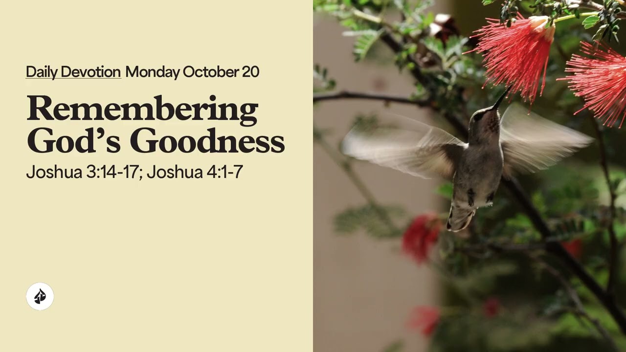 Remembering God&rsquo;s Goodness &ndash; Daily Devotional