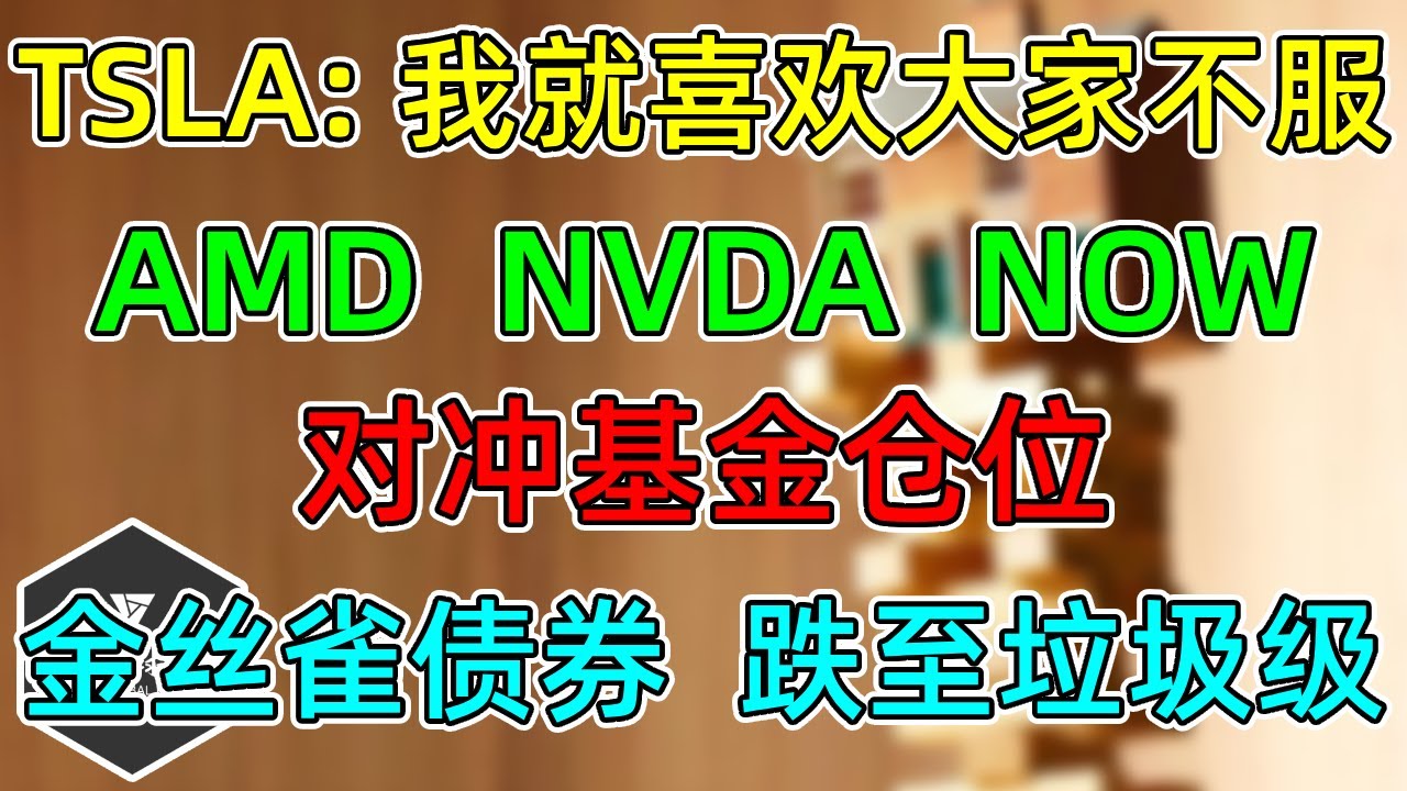 美股 TSLA：我就喜欢大家不服！对冲基金仓位变化！AMD、NVDA！NOW大幅回吐回归！警报：金丝雀债券跌至垃圾级！