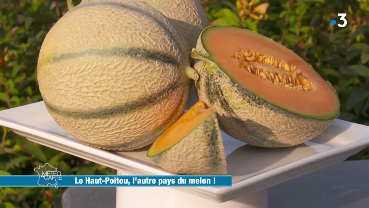 Le Haut-Poitou, l'autre pays du melon - Météo à la carte