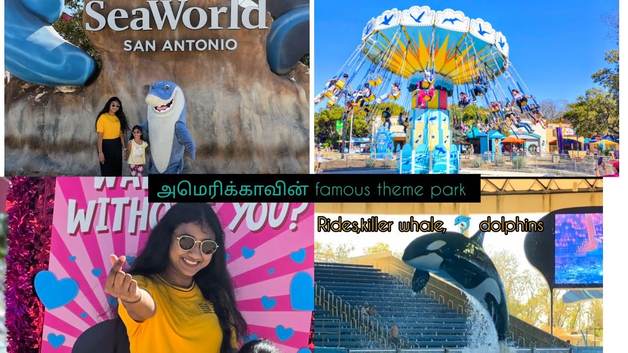 அமெரிக்காவின் USA 🇺🇲 Famous marine based theme park SeaWorld 🐬🐳 🐧 Series - Episode 1