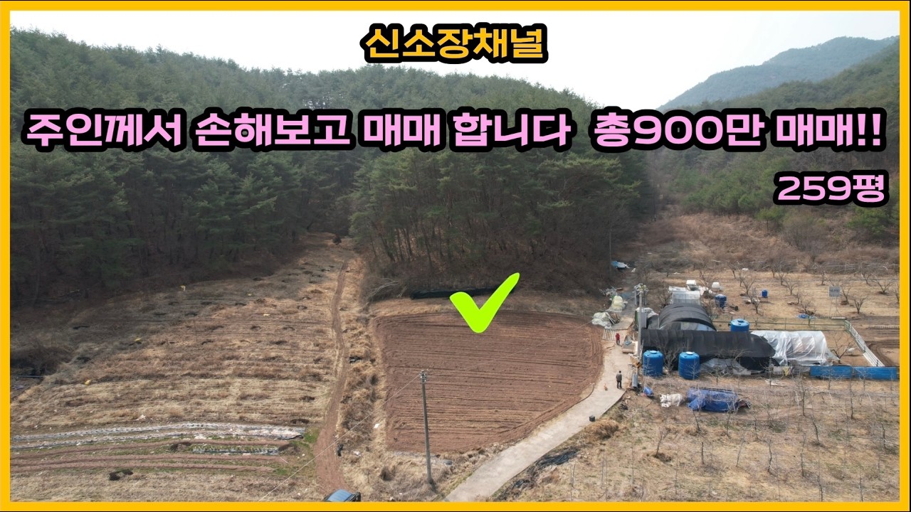 (661번)#전망 시원한 반듯한토지#안동땅매매#경북땅매매#의성땅매매#토지매매#싼땅#귀농귀촌#농막#체류형쉼터#안동부동산#시골땅#자연인땅#촌땅#오지땅#과수원#주말농장#텃밭