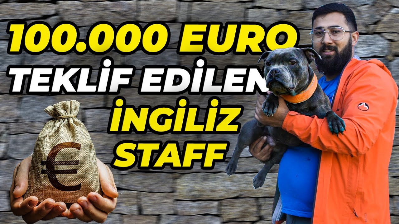 YÜZLERCE İNGİLİZ STAFF BULUNAN DEVASA KÖPEK ÇİFTLİĞİ! | STAFFTURK KENNEL