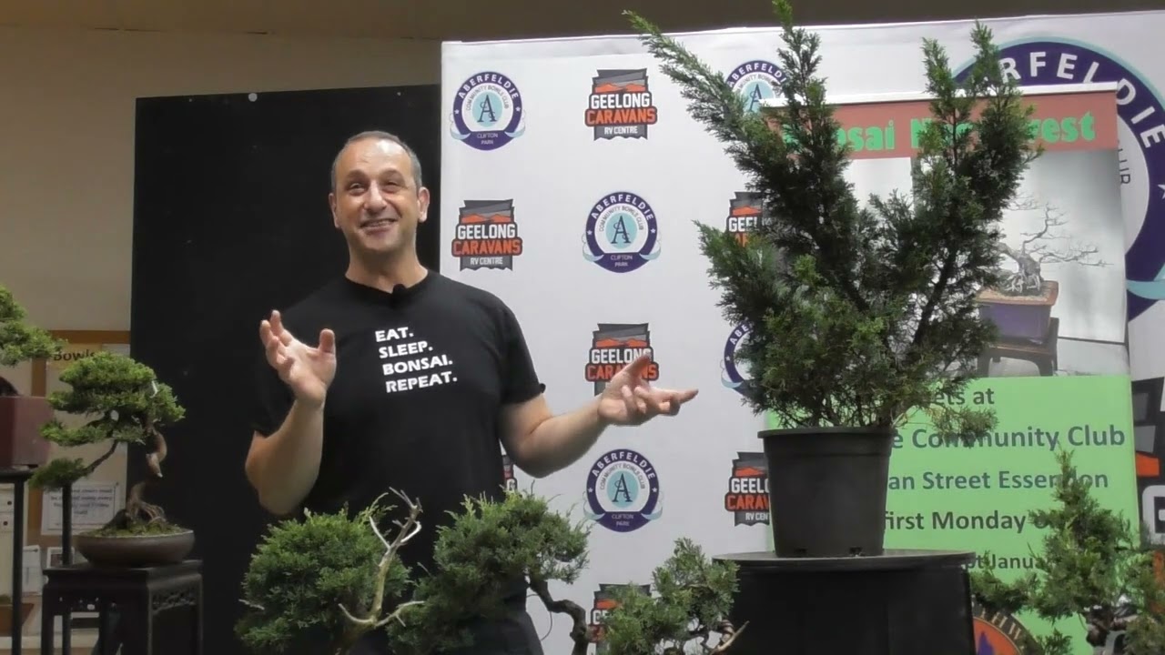 Bonsai Northwest Melbourne March 2024 - All about shimpaku junipers