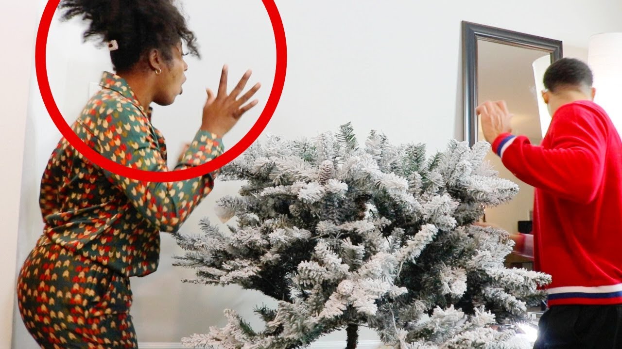 Putting Up Christmas Decorations was ALMOST A DISASTER!!