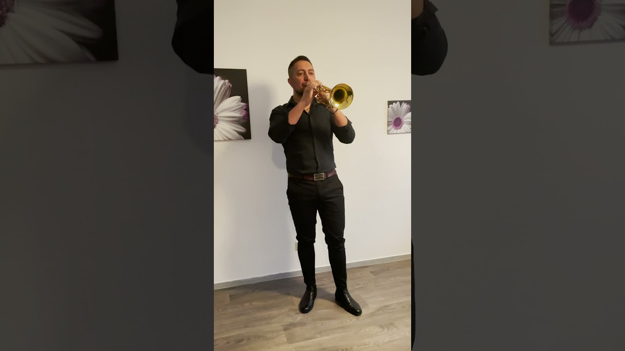 Cristinel Manole -Bătuta la trompeta !