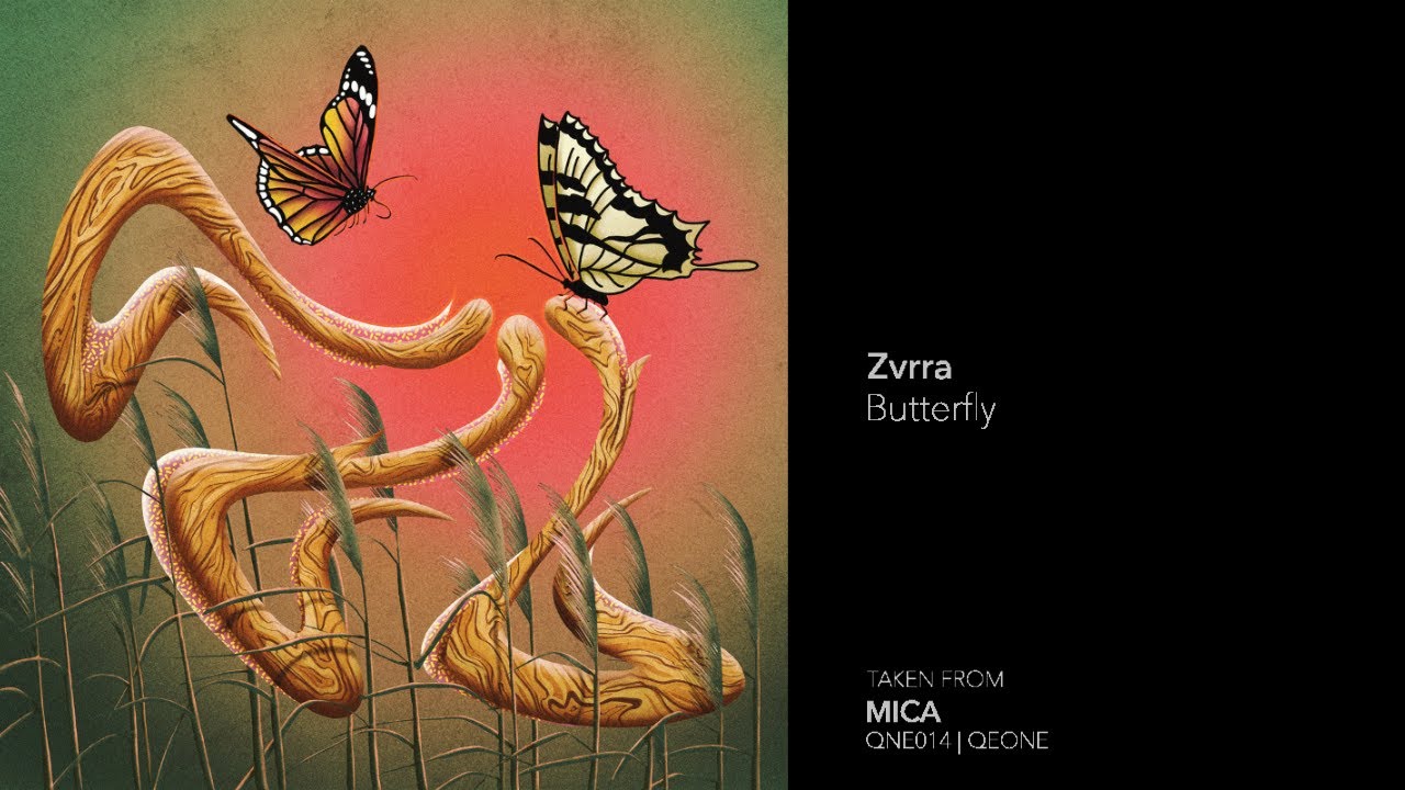 Indefinite Pitch PREMIERES. Zvrra - Butterfly [QEONE]