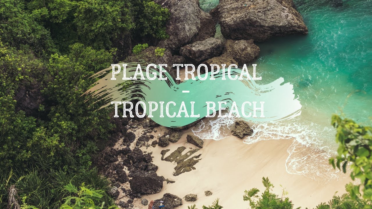Relaxation Plage Tropicale - Tropical Beach Relaxation 🌴🌊