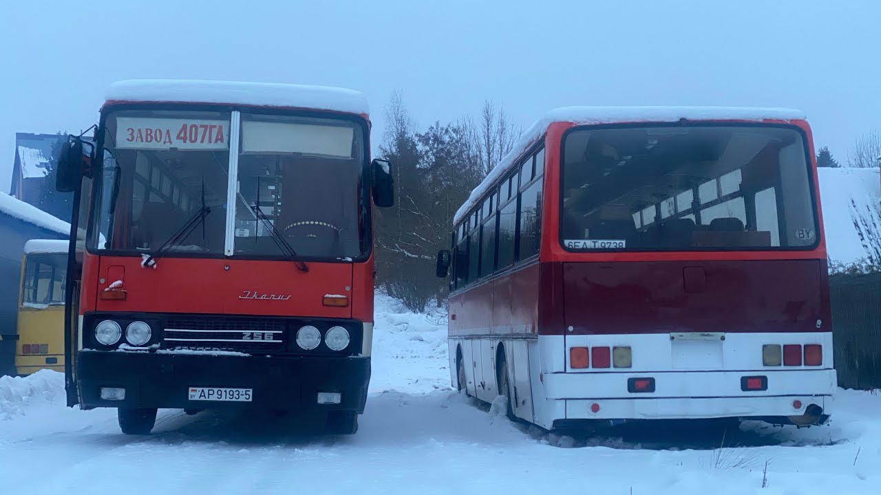 Холодный запуск Икарус 256