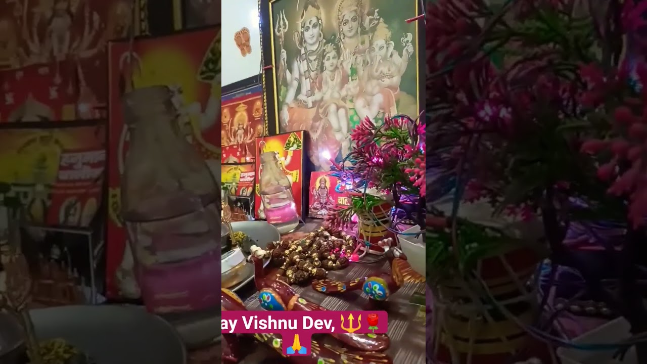 Jay Vishnu Dev 