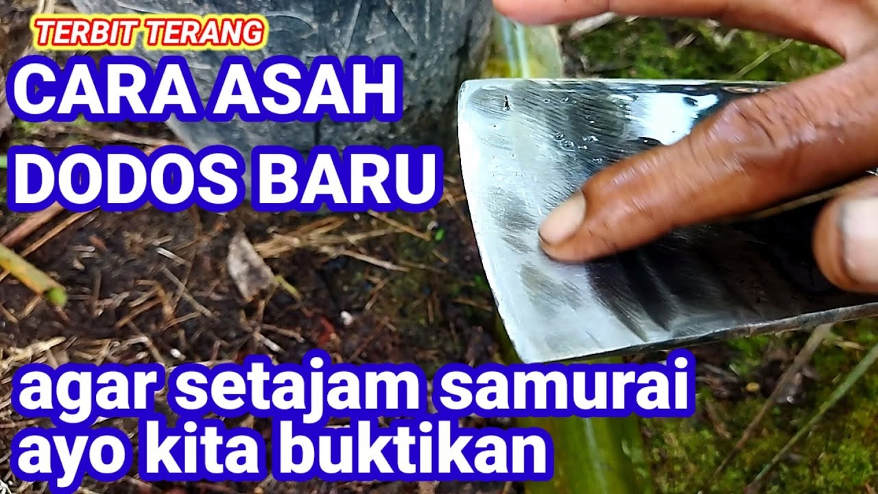 Tips cara mengasah dodos sawit baru biar cepat tajam setajam samurai