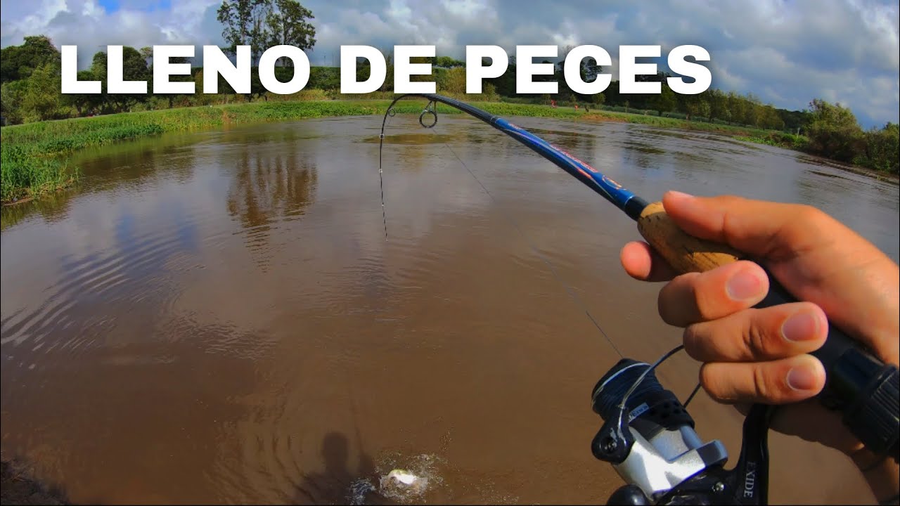 INCREIBLE PESCA Y COCINA MUCHO PIQUE ~ manduvi ~ fritanga...