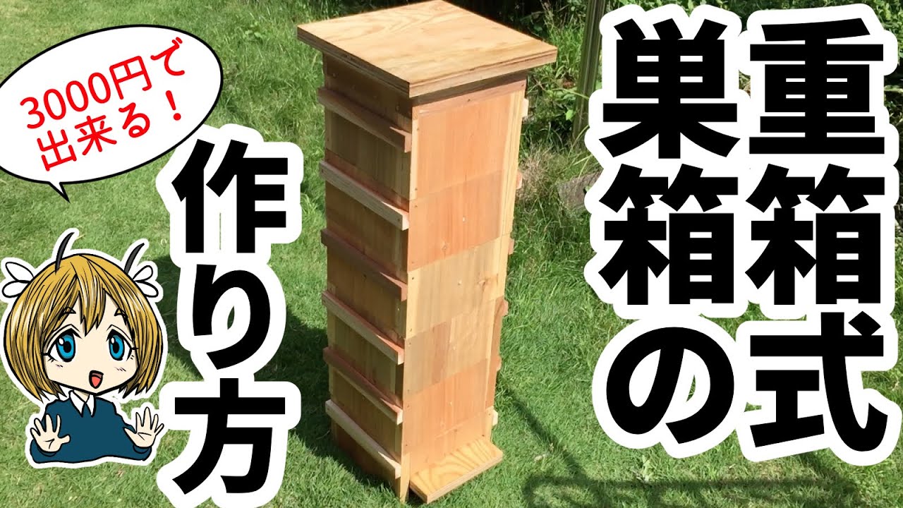 重箱式巣箱の作り方！3000円で自作できる！【日本ミツバチ】
