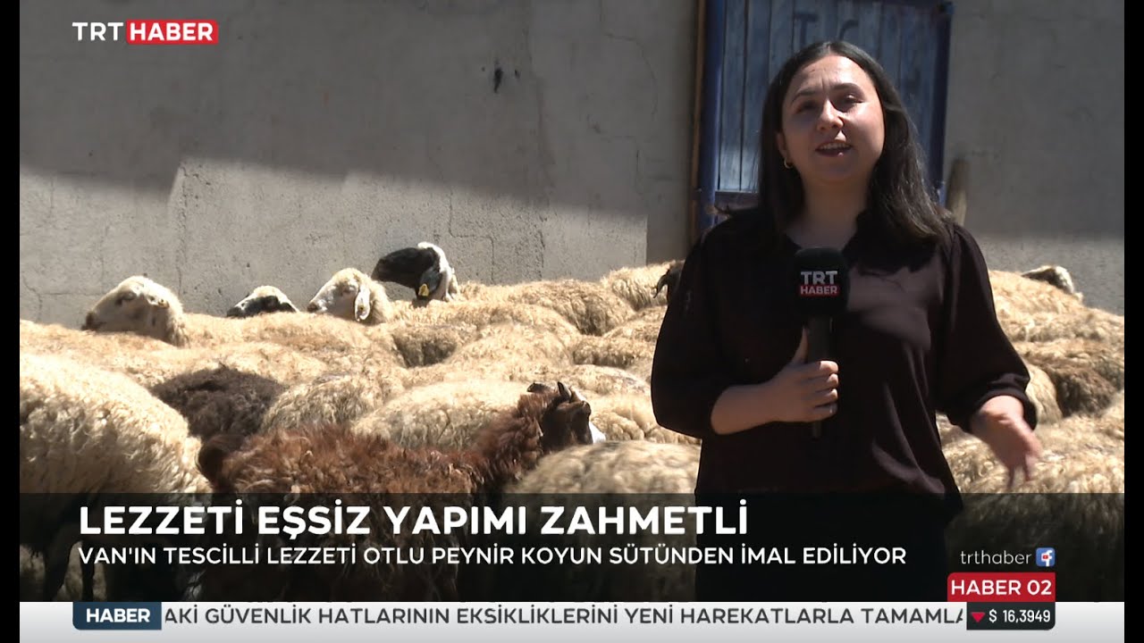 OTLU PEYNİR NASIL YAPILIYOR?