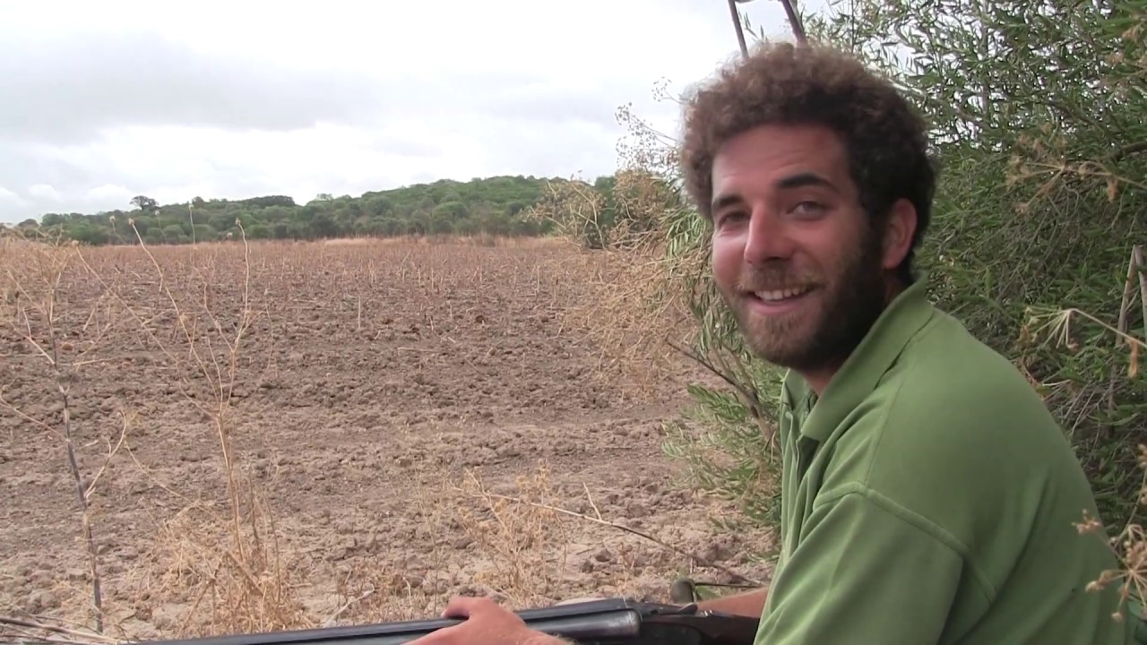 T&oacute;rtolas y palomas en media veda