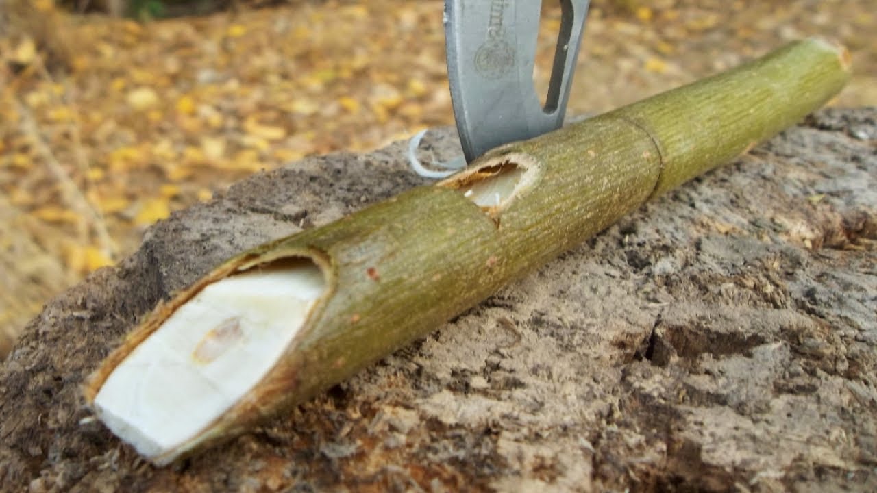 How To Make A Willow Whistle