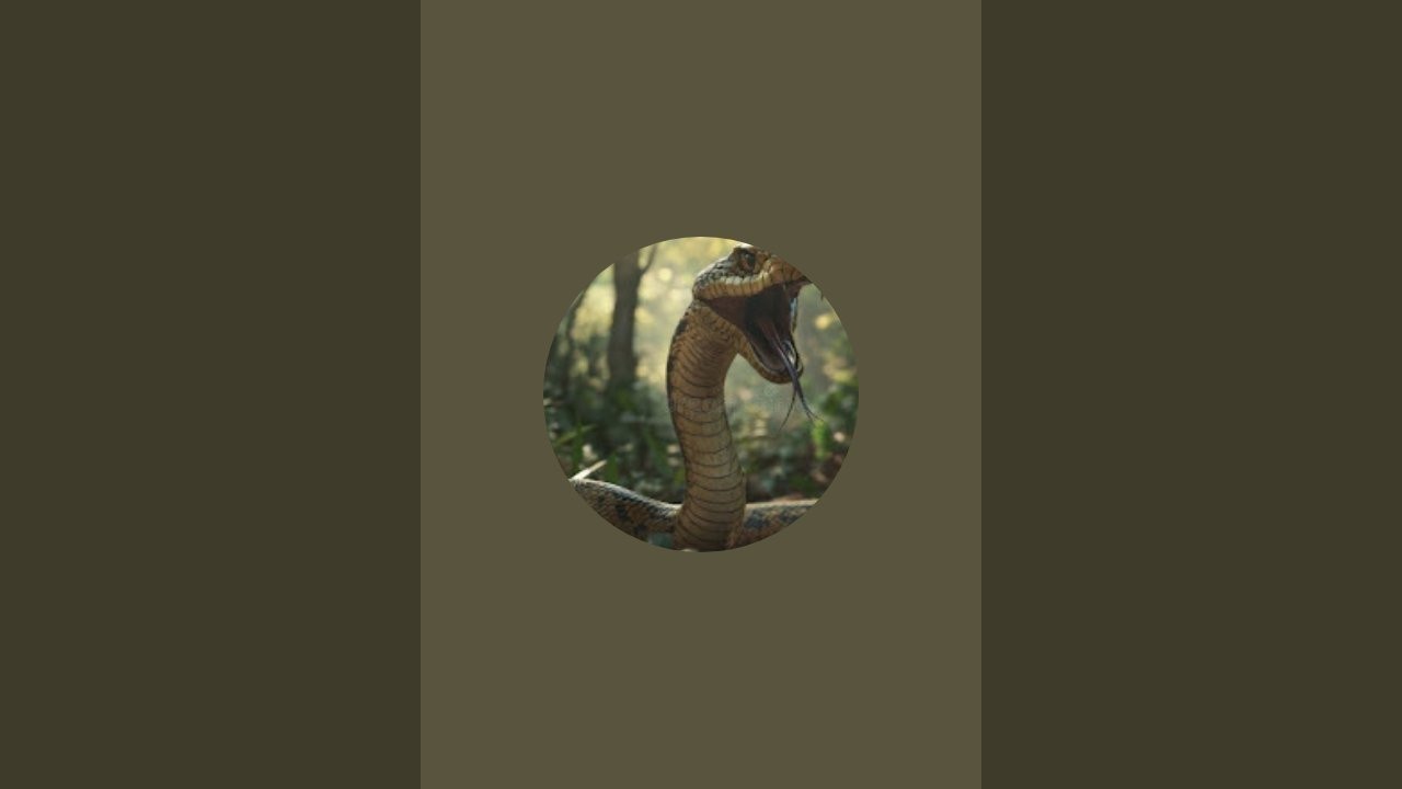 Snake rescuerse is live!