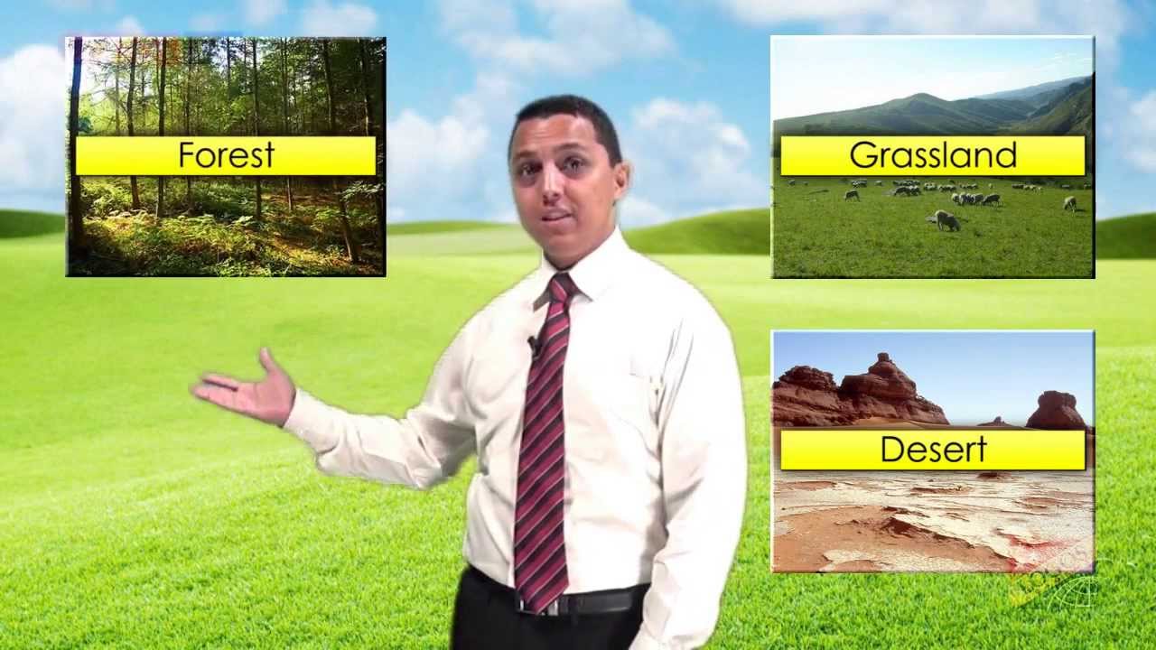 Grassland