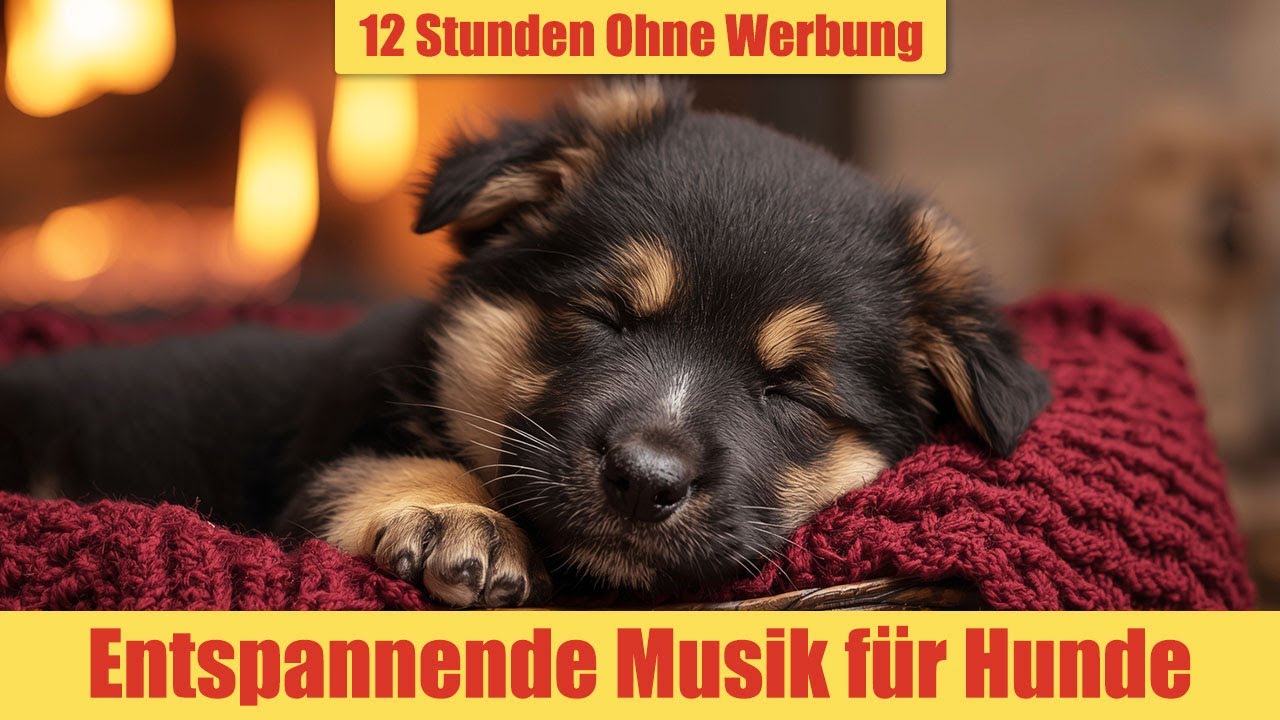 Entspannende Musik für Hunde - 12 Stunden Ohne Werbung | Sanfte Beruhigung & Entspannung_vol.10