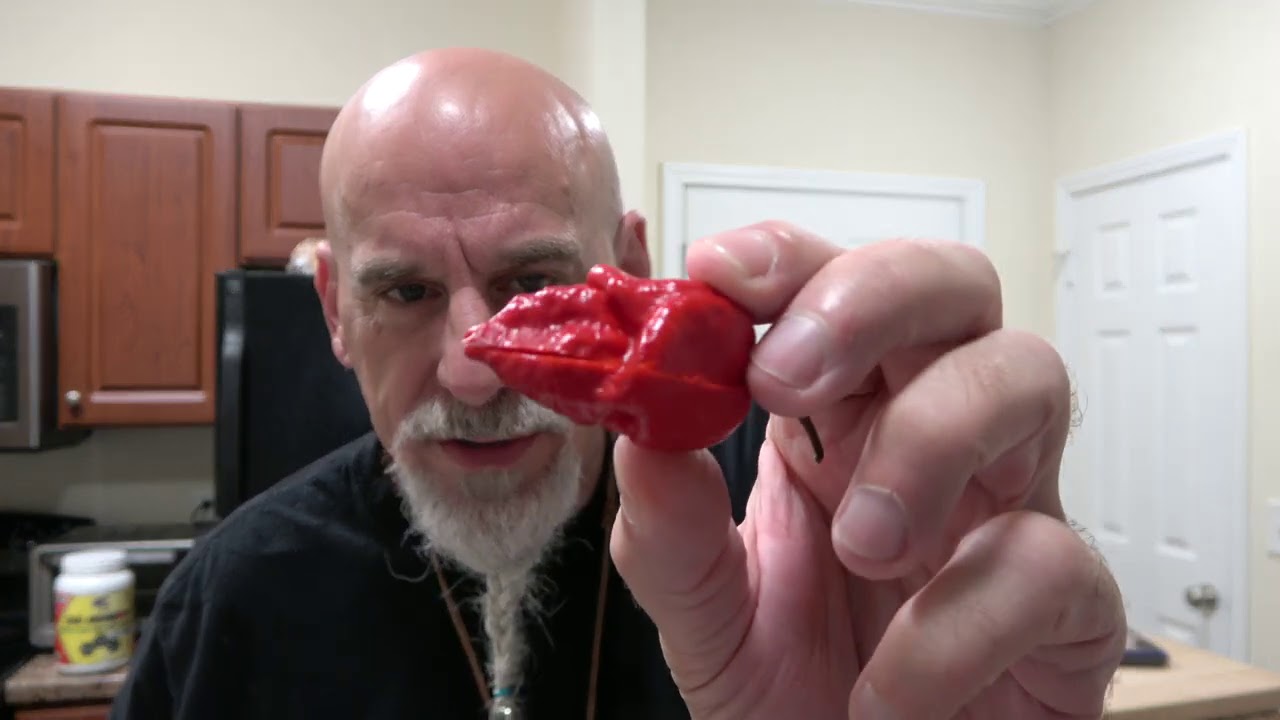 POD REVIEW....Apocalypse Scorpion...from Ryan Karcher....this pepper has it all! Looks, taste, heat!