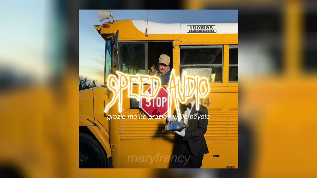 grazie ma no grazie - willie peyote (sped up)