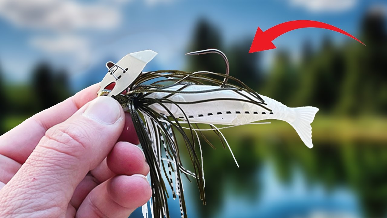 Best Way To Catch Big Spawning Bass From The Bank!!!!
