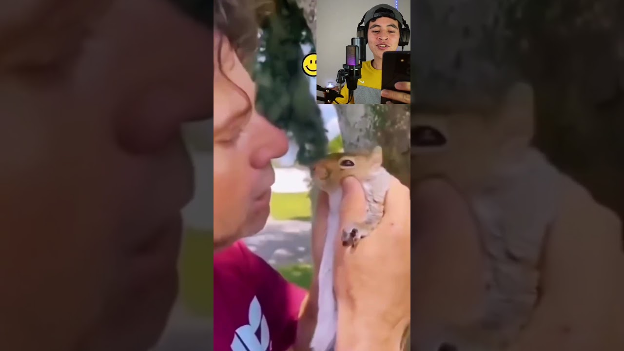 Esta Ardia No pudo pedir auxilio 😭😭😭 #ardia #alvinylasardillas #short #reels #youtubeshort #fypviral