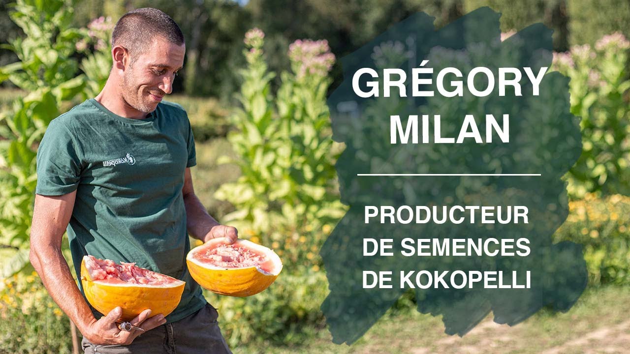 Rencontre avec Grégory Milan, producteur de semences de Kokopelli