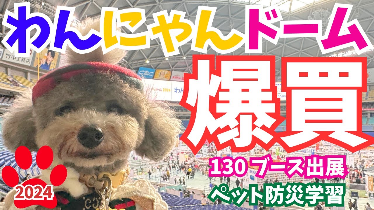 【わんにゃんドーム2024名古屋】新商品爆買い！130ブース出展＆ペット防災対策紹介inバンテリンドームナゴヤ 前編💗【犬イベント・無料サンプル】