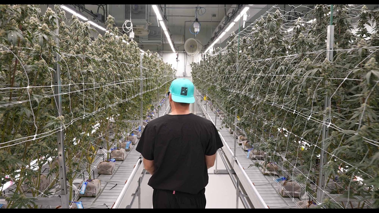 Inside One of Michigan&rsquo;s Most Advanced Cannabis Grows | Peninsula Gardens 