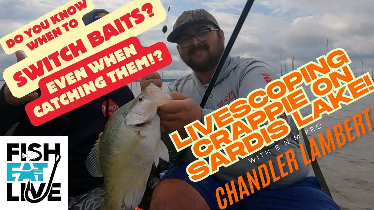 How to Livescope Sardis Lake Crappie with Chandler Lambert Fish Eat Live