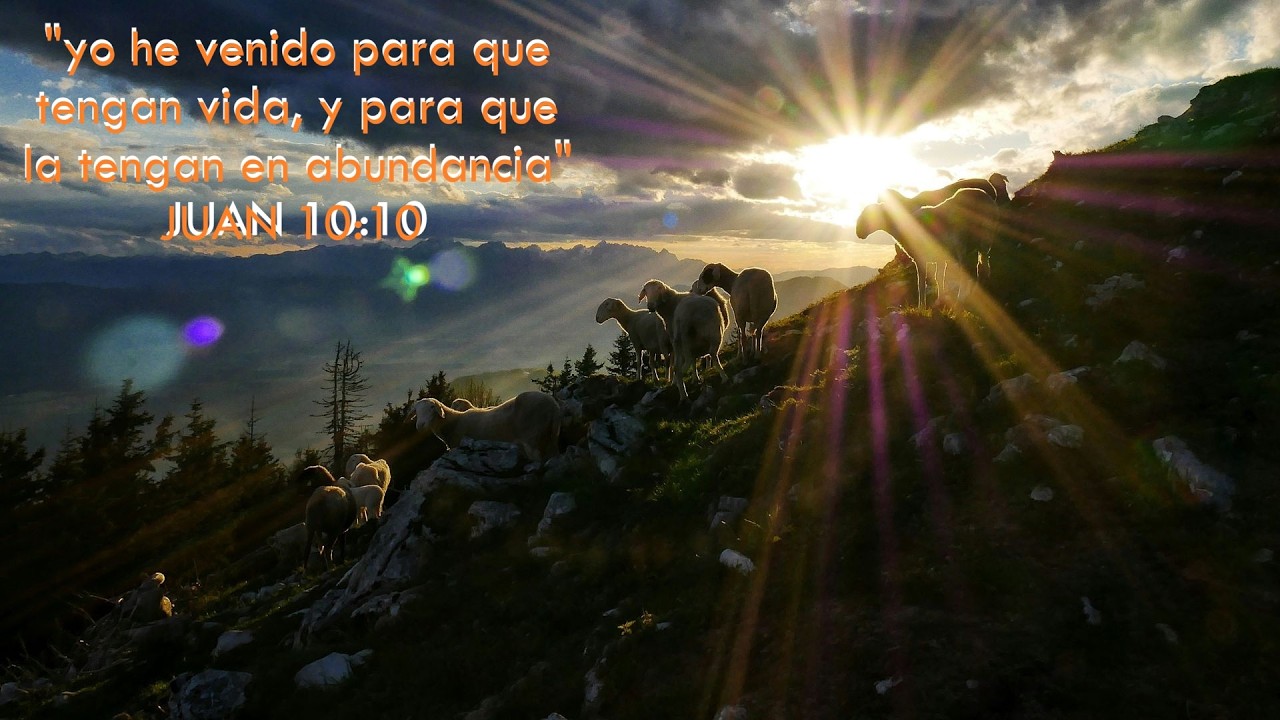 Templo Canaan Asambleas de Dios. Reflexión diaria, semana 6 día 7 (42)