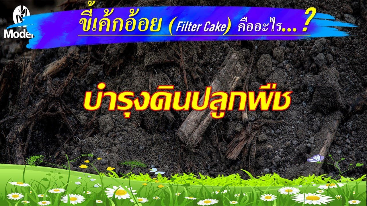 ขึ้เค้กอ้อย หรือ Filter Cake ดีอย่างไร