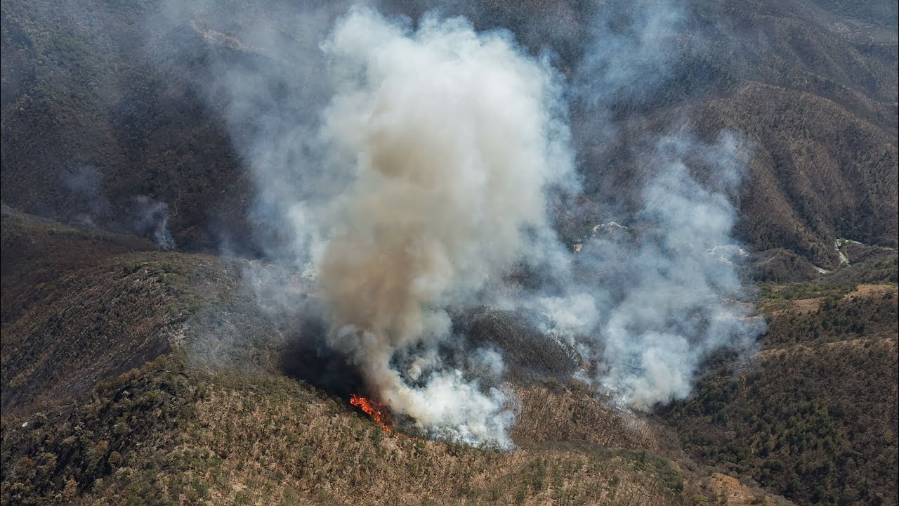 Incendio forestal en San Juan Mixtepec región de la mixteca oaxaqueña 
