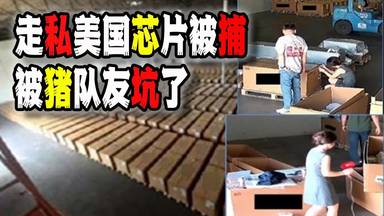 中國豬隊友炫耀走私美國高端芯片，導致自己上線超微老闆被美國逮捕，堪稱史詩級回旋鏢（2026-03-20第3189期）
