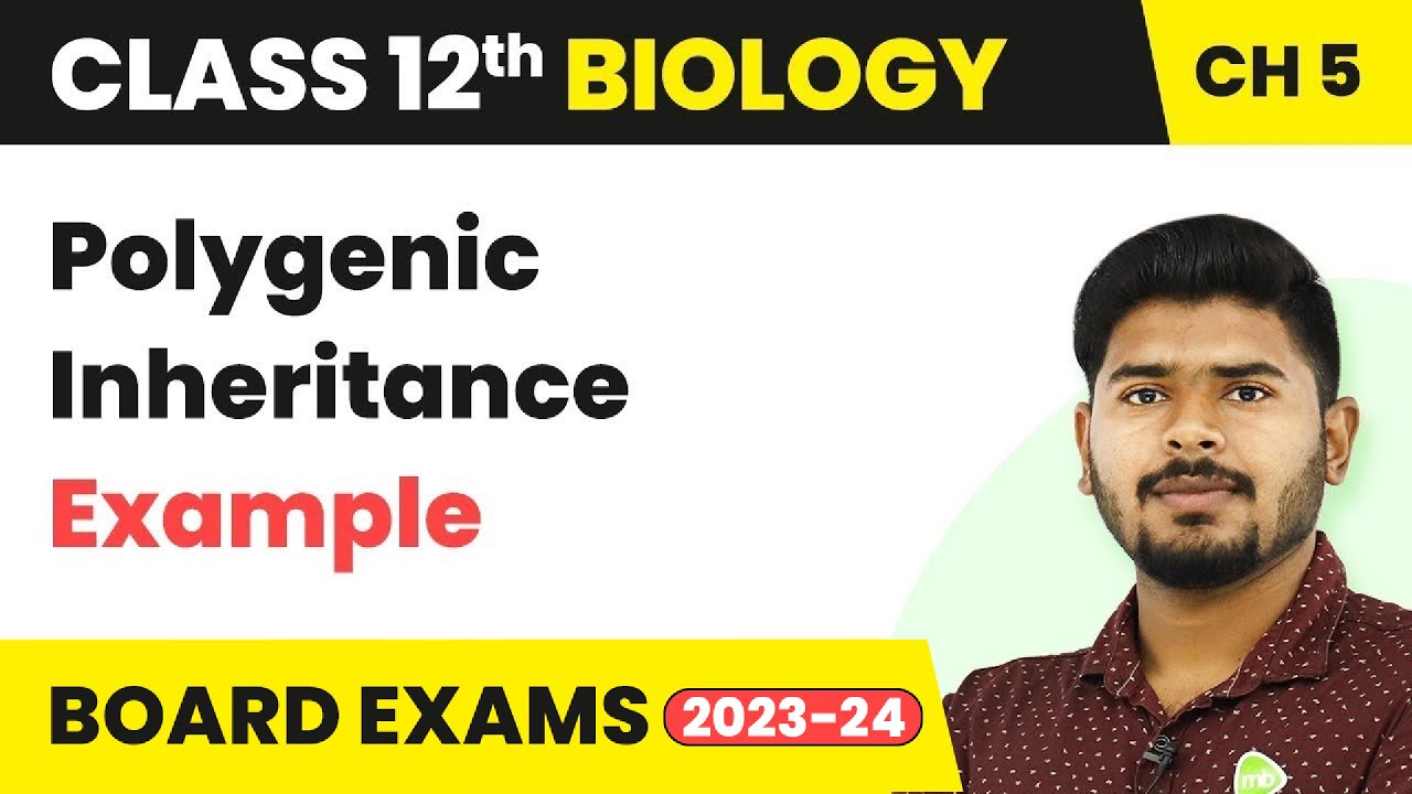Example of Polygenic Inheritance - Principles of Inheritance and Variation | Class 12 (2022-23)