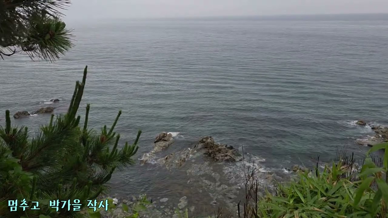 가요무대 