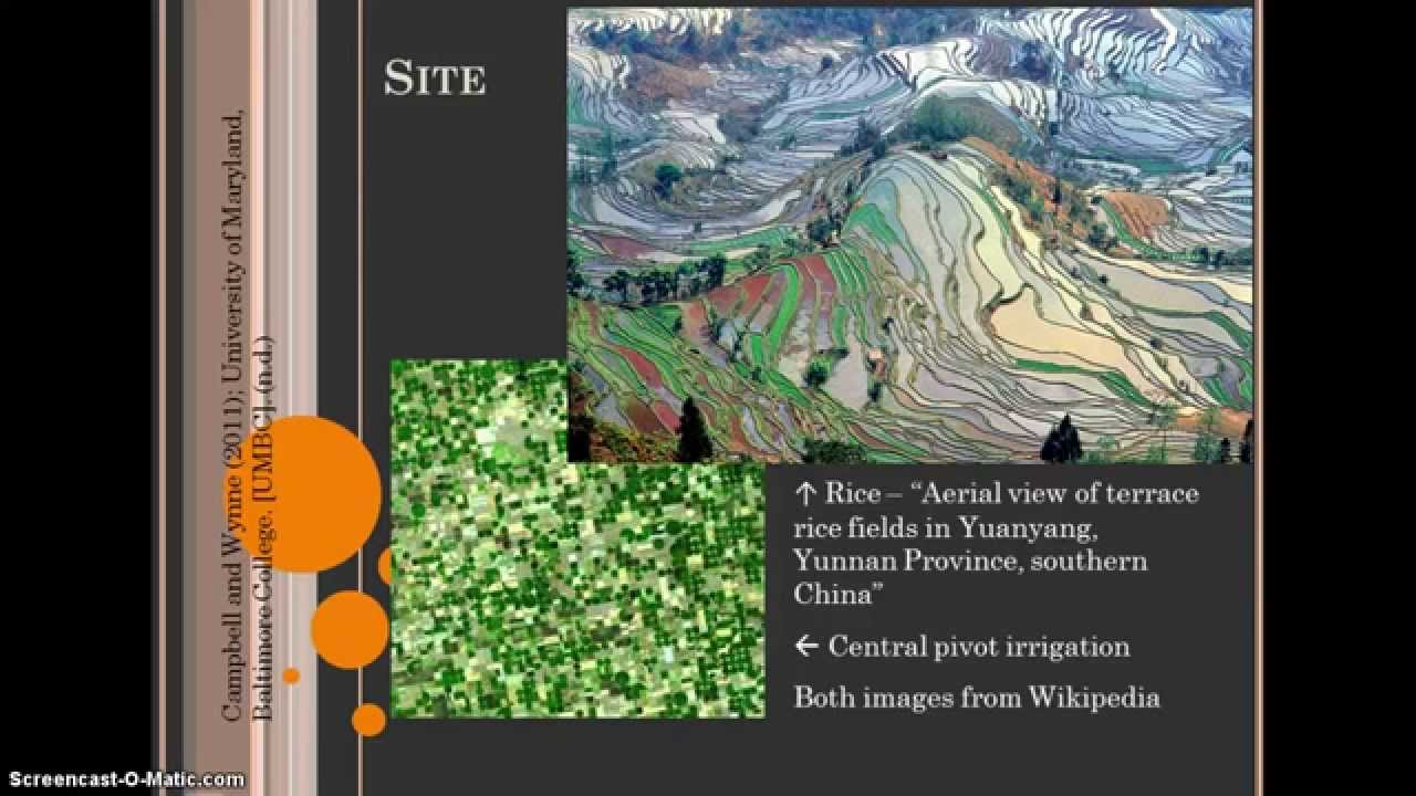 Image Interpretation