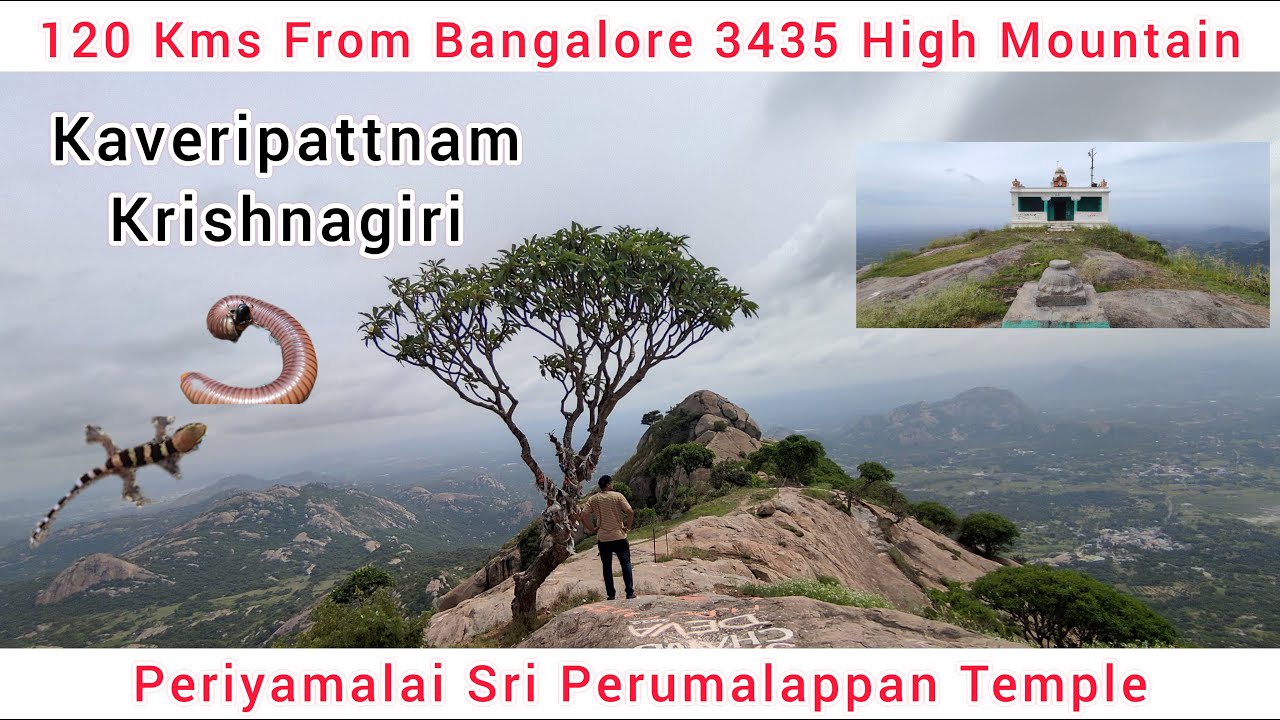 Periyamalai Sri Perumalappan Temple at #kaveripattinam #milipede  #krishnagiri #trekking #adventure