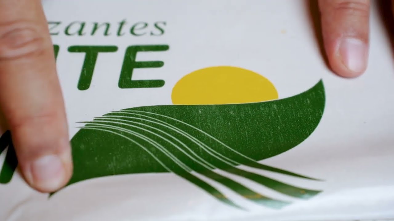 Como é o plástico virgem e o reciclado? Qual é a diferença entre eles?