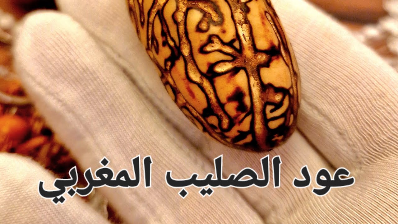 56* عود الصليب المغربي وخصائصه العجيبة #instagram #اكسبلور #العراق #السعودية #مصر #الجزائر #یوتیوب