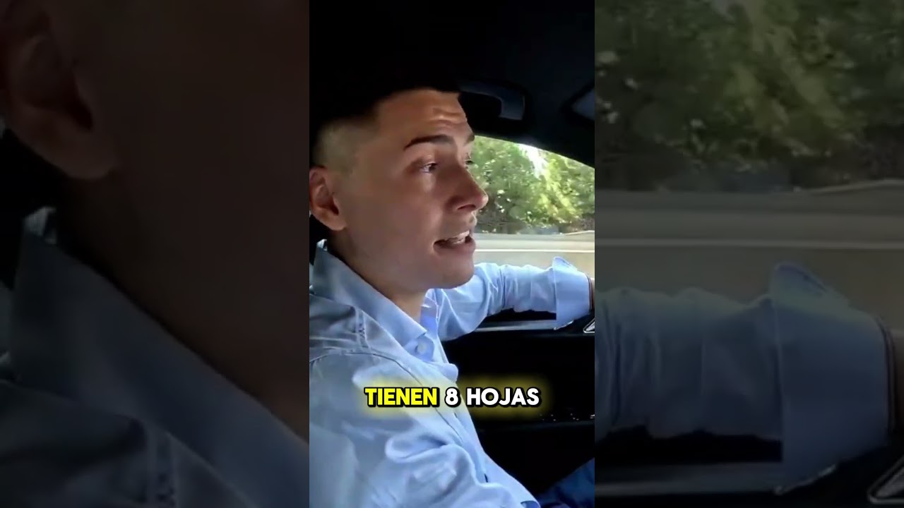 Desenmascarando a Michael Motors
