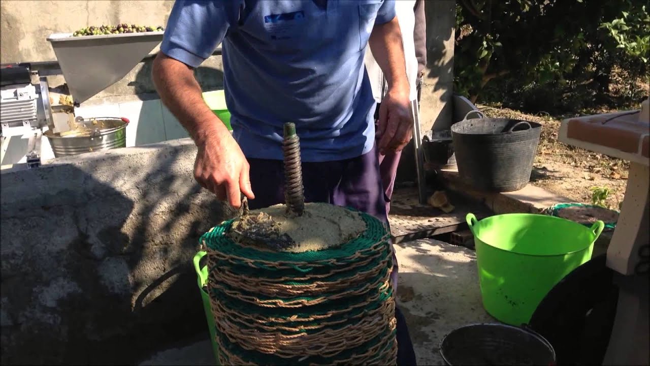 hacer aceite de oliva casero prensado en frio